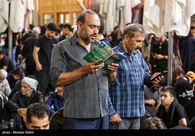 حرم مطهر حضرت علی (ع) در آستانه اربعین حسینی