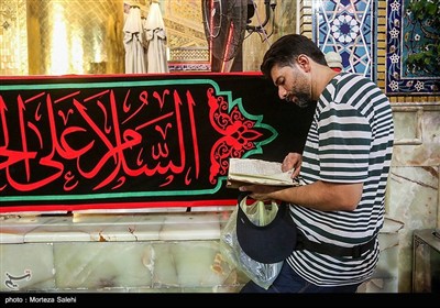 حرم مطهر حضرت علی (ع) در آستانه اربعین حسینی