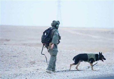 الشعبي،زائران،نيروهاي،عمليات،خبرنگار،تسنيم،زوار
