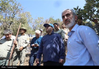بازدید میدانی استاندار چهارمحال و بختیاری از آتش‌سوزی منطقه هلن‌