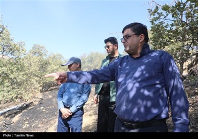 بازدید میدانی استاندار چهارمحال و بختیاری از آتش‌سوزی منطقه هلن‌