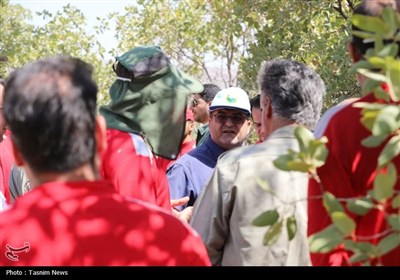 بازدید میدانی استاندار چهارمحال و بختیاری از آتش‌سوزی منطقه هلن‌