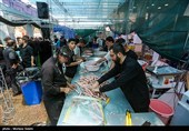 موکبداران کاشانی در مسیر اربعین/روایت 15 روز عاشقی+فیلم
