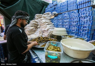 موکب های خدمت رسانی در شهر نجف