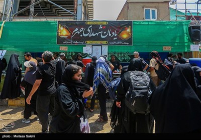 موکب های خدمت رسانی در شهر نجف