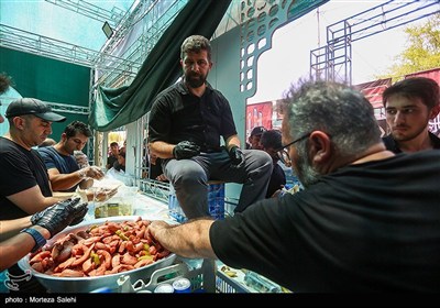 موکب های خدمت رسانی در شهر نجف