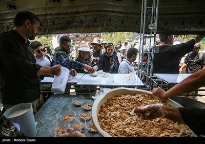موکب های خدمت رسانی در شهر نجف