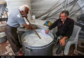خدمترسانی موکب حضرت زهرا سلام الله علیها شهرستان سلسله در کربلای معلی