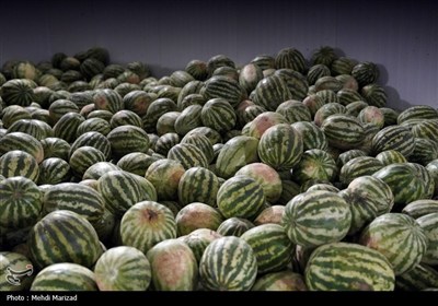 بازدید فتاح از روند خدمت‌رسانی ستاد اجرایی فرمان امام در مرز مهران