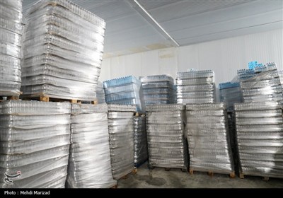 بازدید فتاح از روند خدمت‌رسانی ستاد اجرایی فرمان امام در مرز مهران