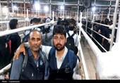 تردد اکثر من ملیونی زائر ایرانی الى العراق حتى الان فی موسم الزیارة الاربعینیة