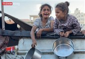 جباری: تداوم بیعملی کشورهای غربی آنها را در جنایات غزه شریک میکند