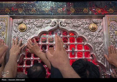 بازدید میدانی مسئولان حج و زیارت از خدمات به زائران در شهر نجف اشرف