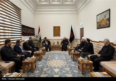 بازدید میدانی مسئولان حج و زیارت از خدمات به زائران در شهر نجف اشرف