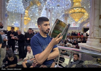 بازدید میدانی مسئولان حج و زیارت از خدمات به زائران در شهر نجف اشرف