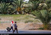 Arbaeen Pilgrims on Route to Karbala