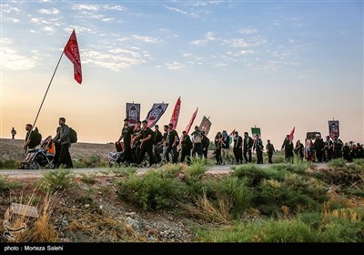 پیاده روی زائرین اربعین حسینی از طریق العلما