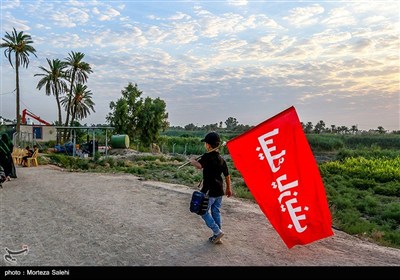 پیاده روی زائرین اربعین حسینی از طریق العلما