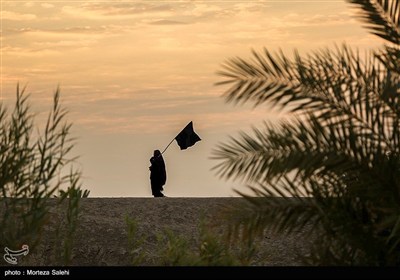 پیاده روی زائرین اربعین حسینی از طریق العلما