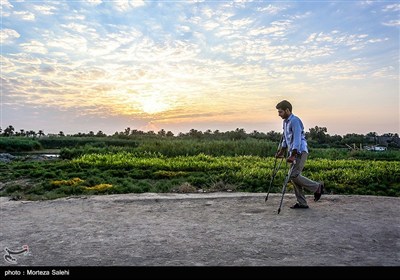 پیاده روی زائرین اربعین حسینی از طریق العلما