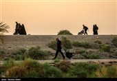 Arbaeen Pilgrims on Route to Karbala