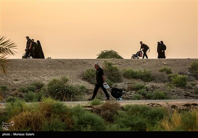 پیاده روی زائرین اربعین حسینی از طریق العلما