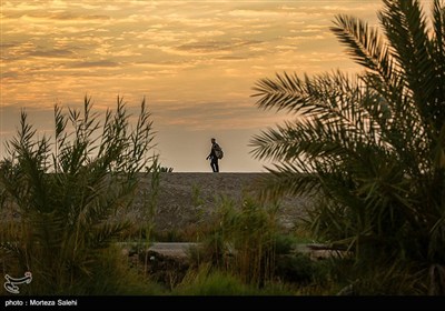پیاده روی زائرین اربعین حسینی از طریق العلما