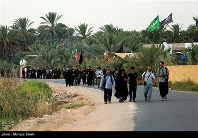 پیاده روی زائرین اربعین حسینی از طریق العلما