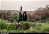 Arbaeen Pilgrims on Route to Karbala