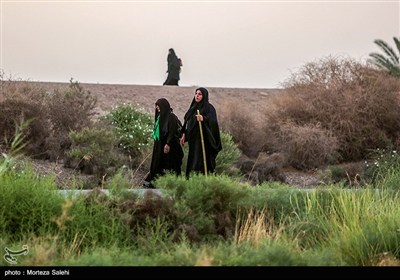 پیاده روی زائرین اربعین حسینی از طریق العلما