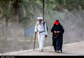 Arbaeen Pilgrims on Route to Karbala