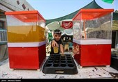 Arbaeen Pilgrims on Route to Karbala