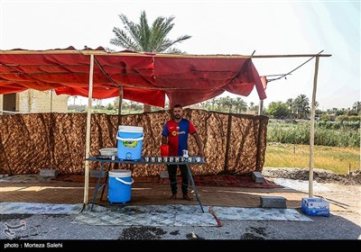 پیاده روی زائرین اربعین حسینی از طریق العلما