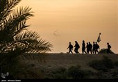Arbaeen Pilgrims on Route to Karbala