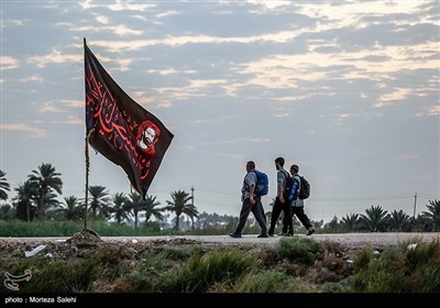 پیاده روی زائرین اربعین حسینی از طریق العلما