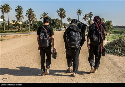 پیاده روی زائرین اربعین حسینی از طریق العلما
