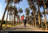 Arbaeen Pilgrims on Route to Karbala
