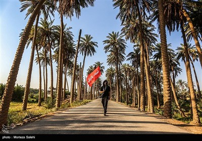 پیاده روی زائرین اربعین حسینی از طریق العلما