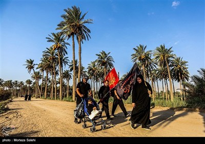 پیاده روی زائرین اربعین حسینی از طریق العلما