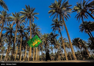 پیاده روی زائرین اربعین حسینی از طریق العلما