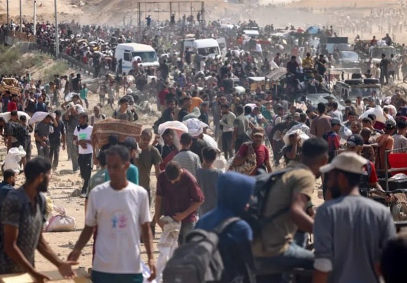 Israeli Forces Kill Gaza Aid Seekers on Site amid Starvation Crisis