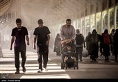زیارتگاه بیبی شریفه؛ طبیب دلها در مسیر کربلا
