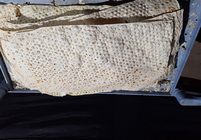 از مسجد امام حسن عسکری خرم‌آباد تا تنور نانوایی نجف