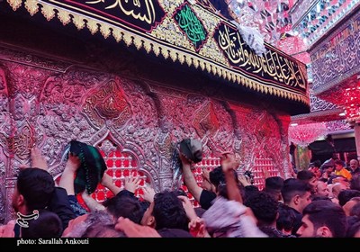 حرم امام حسین (ع) در آستانه اربعین؛ دریای اشک و زمزمه عاشقان