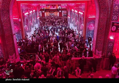 حرم امام حسین (ع) در آستانه اربعین؛ دریای اشک و زمزمه عاشقان