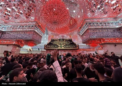 بازدید میدانی مسئولان حج و زیارت از خدمات به زائران در مسیر مشایه و کربلای معلی