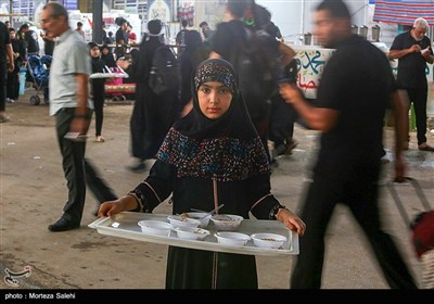 پیاده روی شبانه در مسیر نجف به کربلا