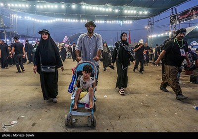 پیاده روی شبانه در مسیر نجف به کربلا