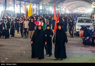 پیاده روی شبانه در مسیر نجف به کربلا
