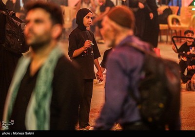 پیاده روی شبانه در مسیر نجف به کربلا